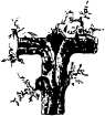 Image preview of font DeepWoodsInitials